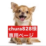 専用ページ