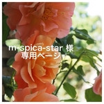 m-spica-star 様 専用ページ