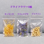 ドライフラワー　キンセンカ・ワスレナグサ・ジャスミン　レジン　ハーバリウム　ガラスドーム素材