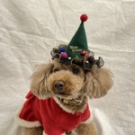 クリスマスツリー🌲風ミニサンタ帽子🎅