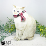猫ちゃんのマフラー風セーフティ首輪～ピンクブラックタータンチェック　bc786-711