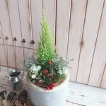 ☆チェッカーベリーとコニファーの寄せ植え☆