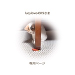 lucylove4919さま 専用ページ