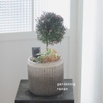 new✩.*˚ギョリュウ梅のスタンド仕立て❁❀✿✾贈り物花