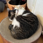 A様専用ページ　