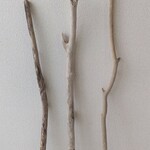 konekoneko2様専用ページ　８０～１００ｃｍ   ３本セット