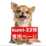 専用ページ