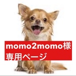 専用ページ