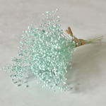  【2g】ミニかすみ草(ペパーミント)  ハーバリウム、リース、アロマワックスサシェ、フラワーアレンジ、ヘッドパーツ等に♪