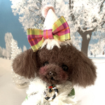 トイプー クリスマスブーツ