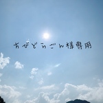 ちびどらごん様専用