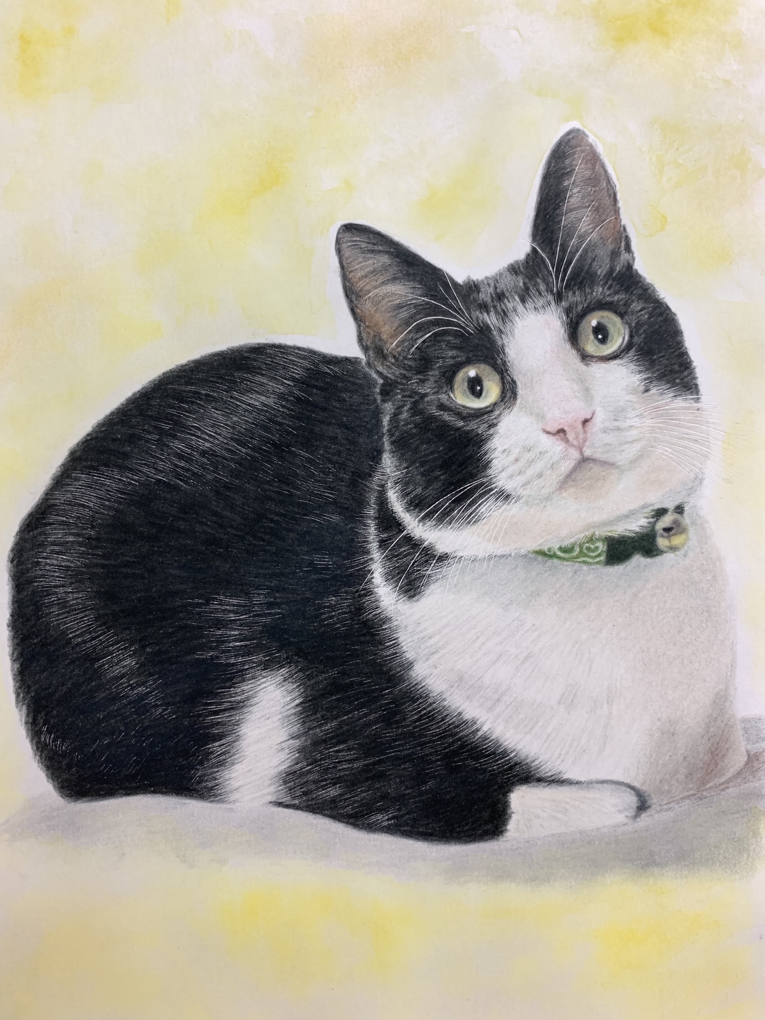 8787ya ペット似顔絵オーダー 絵画 原画 ペット 犬 猫 動物 ペット似顔絵 ペットイラスト うちの子イラスト オーダーメイド