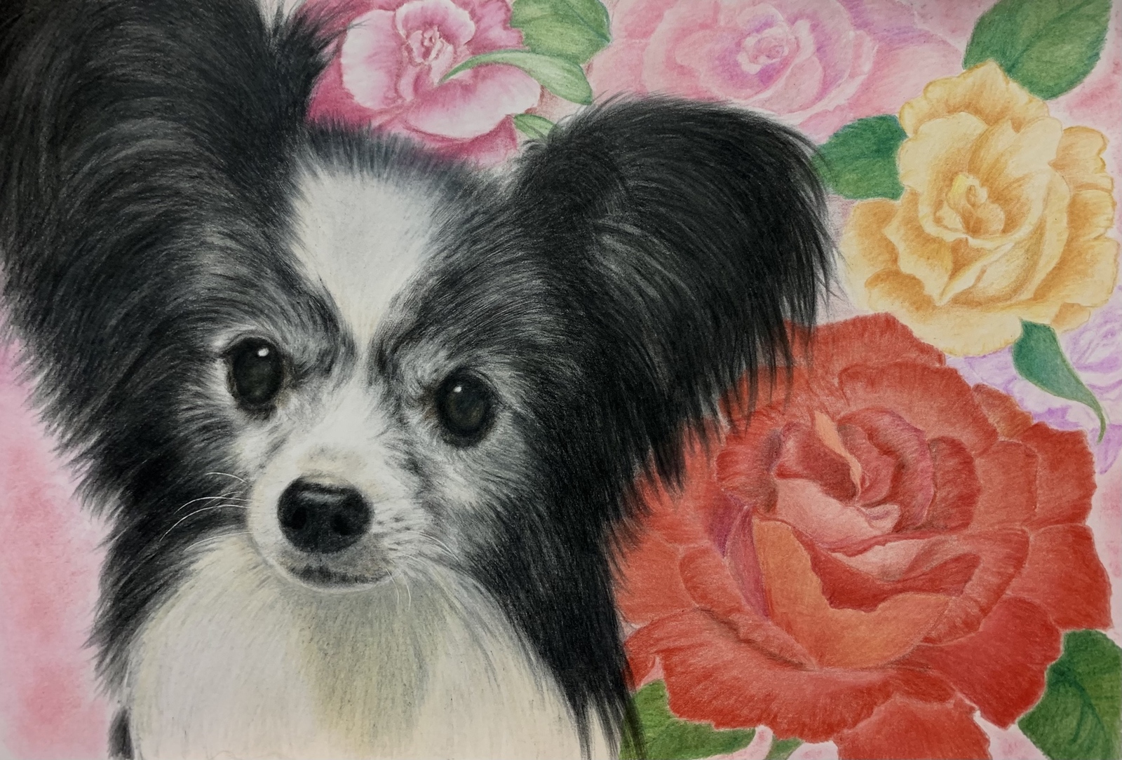 色鉛筆画✭愛猫愛犬✭ペット似顔絵　オーダー受付　ページです♪1 愛するペットの似顔絵 オーダーメイド ペット いぬ ねこ 肖像画