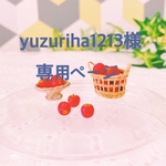 yuzuriha 様専用ページ