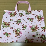 莓のレッスンバッグ