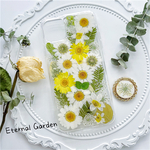  押し花スマホケース  スマホリング iPhone11 iPhone12Pro iPhone12 iPhoneXR iPhone12mini Galaxy A41 Galaxy Note20 