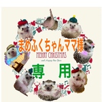 こちらはまめふくちゃんママ様専用