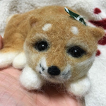 飼って飼って柴ちゃん