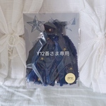 Y12番様専用