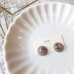 ドライフラワー と レジン の 小ぶり シンプル ピアス/イヤリング パープル