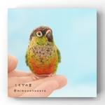『mu様専用お迎えページ』ちっちゃリアルなインコさん　＋　ワキコガネウロコインコ　＋