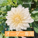 ☆usabossa様専用ページです☆ ありがとうございます✴︎
