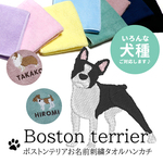 ボストンテリア刺繍今治タオルハンカチ
