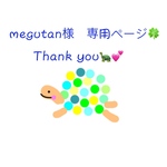 megutan様専用ページ♡
