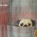 パグバッジ・フォーン「あ、どうも！ＰＵＧです。」～黄緑ネックレス