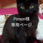 pimon様専用ページ　美女と野獣　スノーピンクVersion　アメリカンフラワー