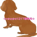 ☆minmint1217様専用☆