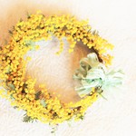 春の花　ミモザのリース