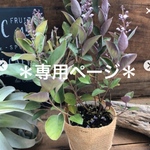 brilliant44様 専用ページです。