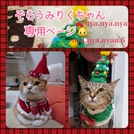 🐱お客様専用ページ🐱