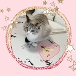 minmin 様　専用ページ✨