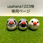 usahana1223様専用ページ(キンカチョウファミリー)