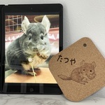 ✏️うちの子デフォルメイラスト⭐︎鍋敷き⭐︎キッチンコルクマット