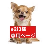 専用ページ