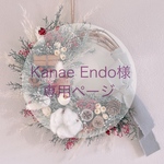 ［Kanae Endo様𓍯専用ページ］