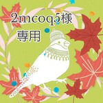 「 2mcoq5様専用 」ページ