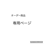 専用ページ