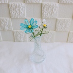 【SALE】 コスモス アメリカンフラワー