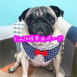 tim24様専用ページ