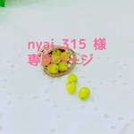 nyai 315様専用ページ