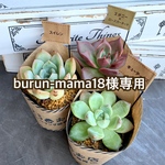  burun-mama18様専用商品