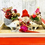ハリネズミ親子🦔💕とサンタのクリスマス🎄🎅
