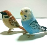 【ひめか☆さまご注文品】野鳥セット