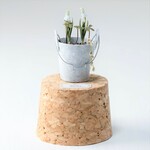 ✴︎ブルームスカリ✴︎　寄せ植え　1/12scale