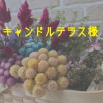 キャンドルテラス様専用ページ