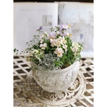 Viola de Bouquet ミックスビオラのひと鉢②